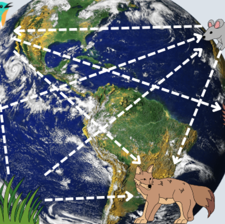 A cartoon of a food web in front of planet Earth with the Sun in the corner of the image.