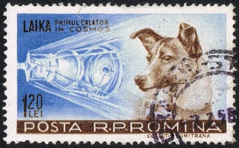 A vintage Romanian postage stamp featuring Laika, the first dog to travel into space. The stamp shows an illustration of Laika alongside a depiction of the spacecraft, with text reading 'Laika, primul călător în cosmos' and a denomination of 120 Lei.